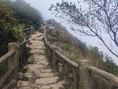 -梧桐山风景名胜区