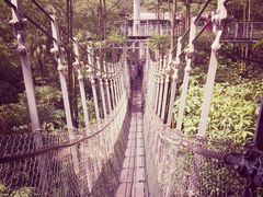 -新加坡飞禽公园