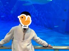 -鹿儿岛水族馆