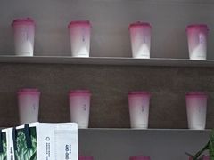 -树夏(春熙路百盛店)