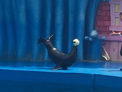 -华夏文旅海洋公园