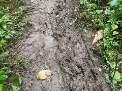 -西岭雪山大飞水景区