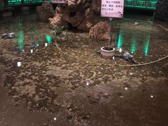 -古渡驛(丽彩·潮流港店)