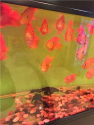 -西美医疗美容门诊部