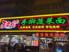 -秦君宝手擀菠菜面(金花路店)