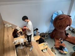 -瞄一喵猫咖(格力海岸店)
