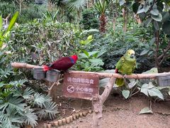 -南宫五洲植物乐园