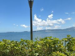 -佳丽海鲜大酒楼(环岛海景店)