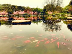 -白马涧龙池景区