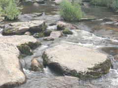 -汤旺河林海奇石景区