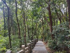 -广州市白云山风景名胜区