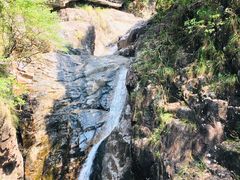 -花岩国家森林公园