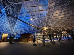 -世界恐龙谷景区