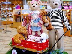 -济州岛泰迪熊博物馆