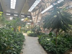 -南宫五洲植物乐园