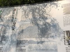 -花溪风景区
