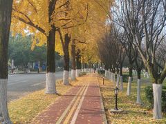 -成都中医药大学(温江校区)