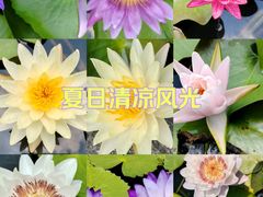 -中国科学院华南植物园