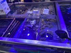 -盒马鲜生(大成店)