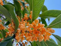 -苏州河梦清园环保主题公园