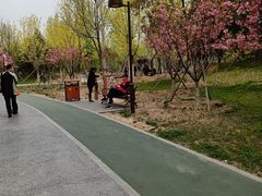 -回龙观体育文化公园