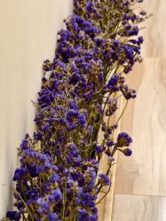 -FUMEIHUI·科技美肤·美体SPA