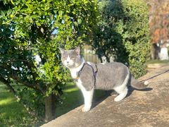 -云南滇池花园国际大酒店温泉