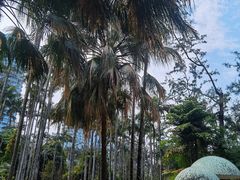 -北海市海滨公园