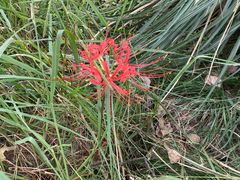 -贵阳市花溪国家城市湿地公园