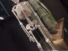-TOP健身私教工作室(侨香店)