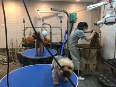 -PETKIT小佩宠物(古北店)