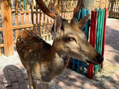 -水上乐园·欢乐世界