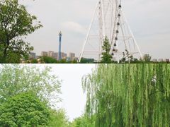 -祥源·阜阳生态乐园