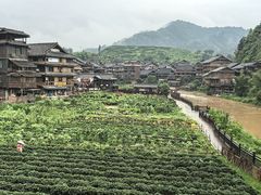 -客雨侗菜馆(客雨民宿店)