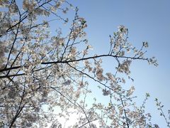 -百林公园-两江幸福广场