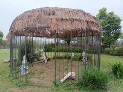 -三垟湿地