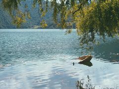 -丽江泸沽湖景区-里格半岛
