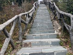 -梧桐山风景名胜区