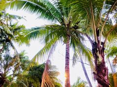 -三亚珠江南田温泉度假区