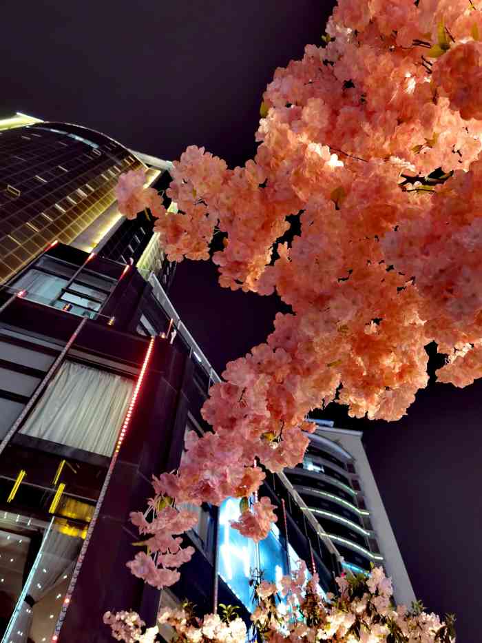 宜北町(国贸6楼店)-"老贵阳的奶茶店,现在已经逐渐转型开始卖泡.