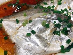 清蒸小鲳鱼-高佳庄·舟山海鲜(海景旗舰店)