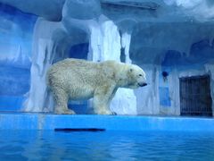 景点-多彩贵州城极地海洋世界