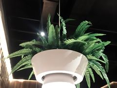 -天山醉美辣子鸡(文艺路店)