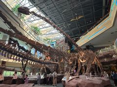 -安徽省地质博物馆