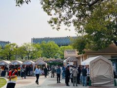 -嘉定紫藤园