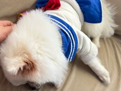 -怪兽屋·羊驼·猫咖·狗咖(俊华广场店)