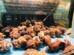 -皮记海鲜1995(寮步店)