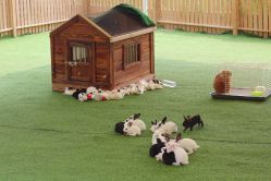 -萌宠亲子动物乐园(槐房万达店)