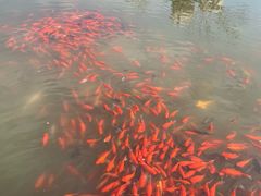 -狼山风景名胜区