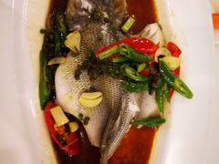 -香港美食大酒楼